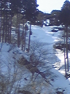 100222_143340.jpg